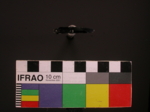 V23d4101 A16q856.1 U904 dM bl f313.jpg
